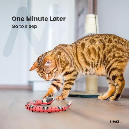 Sneaky Snake Smart Toy - Always Whiskered