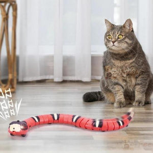 Sneaky Snake Smart Toy - Always Whiskered