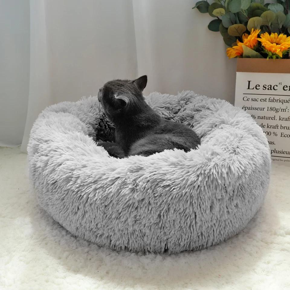 Plush Pet Bed - Always Whiskered