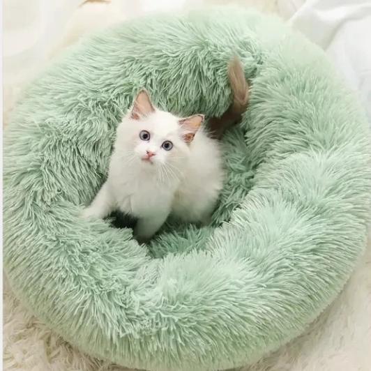 Plush Pet Bed - Always Whiskered