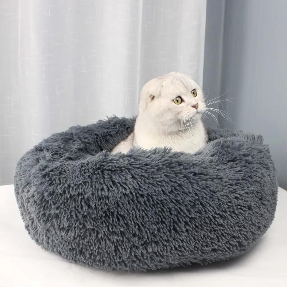 Plush Pet Bed - Always Whiskered 