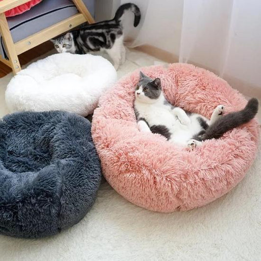 Plush Pet Bed - Always Whiskered 