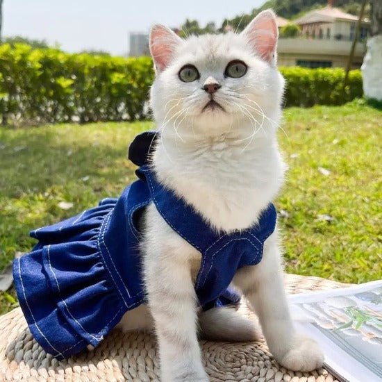 So Cool Denim Harness Vest - Always Whiskered