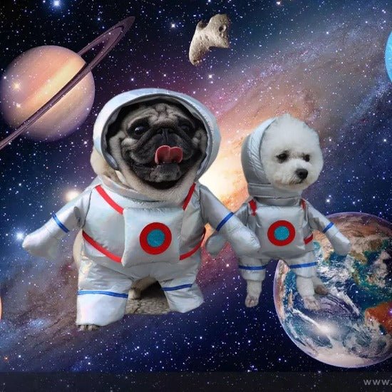 Spaceman Costume - Always Whiskered