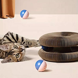 Stretch It Magic Organ Cardboard Cat Toy- Always Whiskered