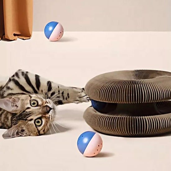 Stretch It Magic Cardboard Toy - Always Whiskered