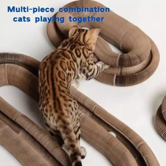 Stretch It Magic Cardboard Toy - Always Whiskered