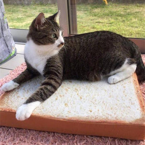 Tasty Toast Pet Bed / Mat - Always Whiskered 