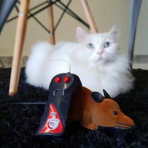 Remote Control Mouse Interactive Cat Toy – Always Whiskered