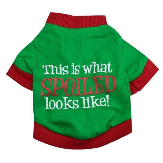 This Is What Spoiled Looks Like Pet Shirt - Always Whiskered 