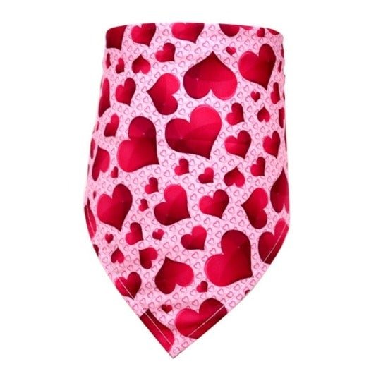 Valentine's Bandana - Always Whiskered