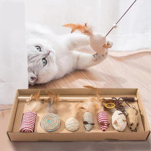 Cat wand toys set