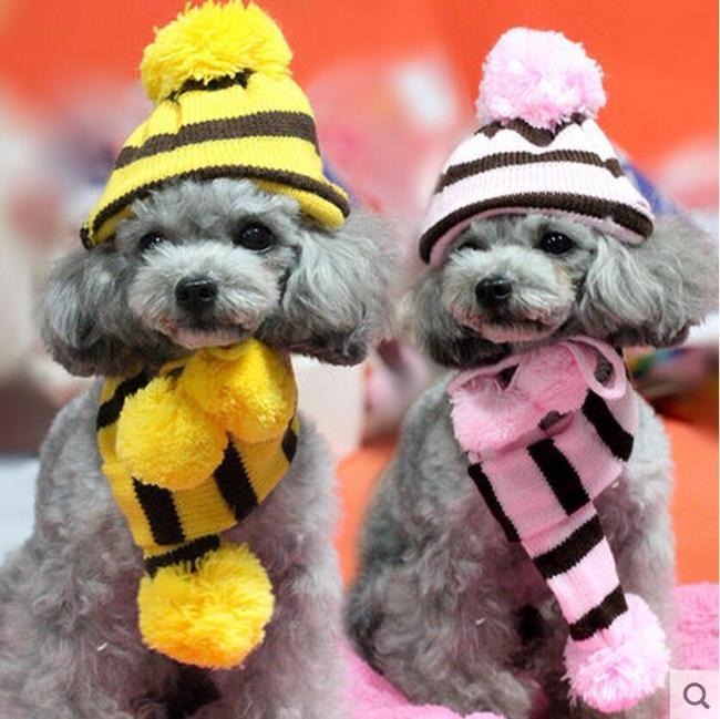 Warm Up 3pcs Scarf Set - Always Whiskered 