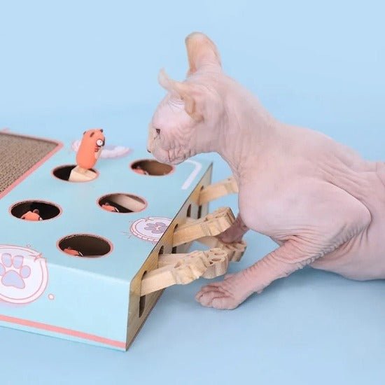 Whack-A-Mole Scratcher Toy - Always Whiskered