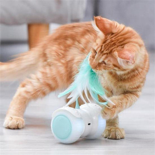 Interactive cat toy - Always Whiskered 