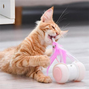 Interactive cat toy - Always Whiskered 