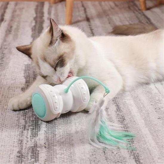 Interactive cat toy - Always Whiskered 