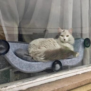 cat window lounger