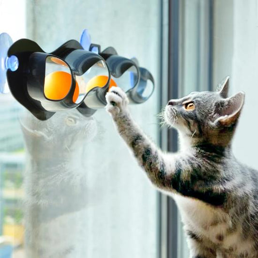 Cat window track toy- Always Whiskered