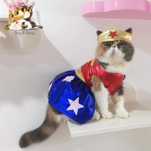 Wonder Woman Pet Costume - Always Whiskered