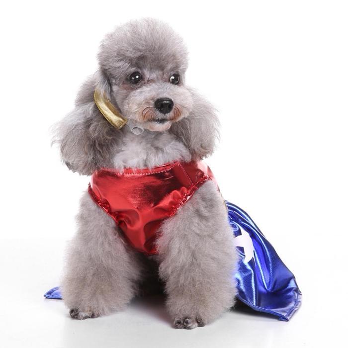 Wonder Woman Pet Costume - Always Whiskered