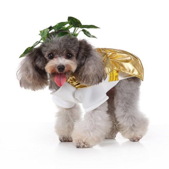 Zeus Pet Costume - Always Whiskered