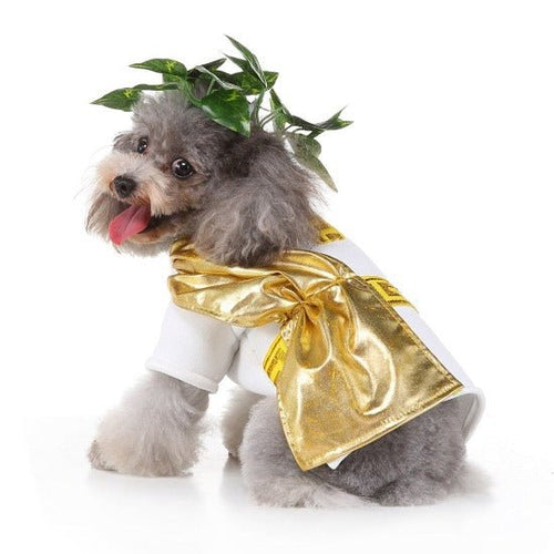 Zeus Pet Costume - Always Whiskered