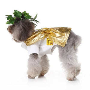 Zeus Pet Costume - Always Whiskered